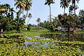 Kerala backwaters, travelling the neighborhood by public ferry service from  Alleppey to Kumbakonam. 